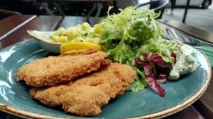 Vegan Schnitzel at Max Pett in Munich