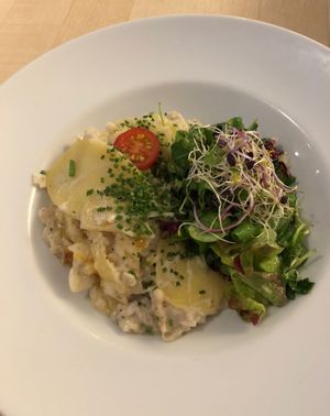 Kartoffel-Zucchini-Trüffelgratin mit Salat  at Max Pett in Munich