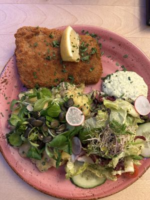 Krispy plant based schnitzel and maybe the best German style potato salad Iv ever had   at Max Pett in Munich