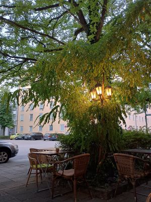  at Max Pett in Munich