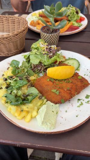 Schnitzel with salad and potato salad. You can also choose fries or half-half.   at Max Pett in Munich
