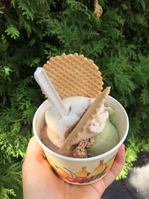 Ice cream to go: avocado, malaga & Snickers at Max Pett in Munich