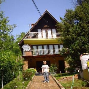 Sunnypension, the house at Sunny Pension in Cortanovci