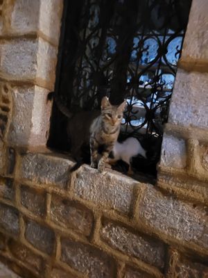  at Idees Art Cafe & Shop in Kastoria