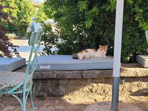  at Idees Art Cafe & Shop in Kastoria