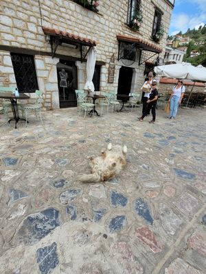  at Idees Art Cafe & Shop in Kastoria