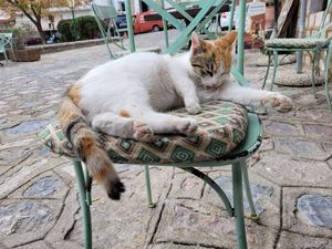  at Idees Art Cafe & Shop in Kastoria