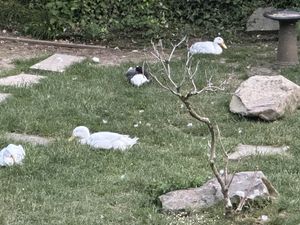   at The Queen Inn in Cwmbran