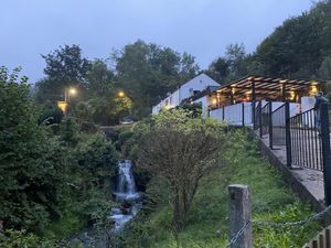 Lovely garden with ducks  at The Queen Inn in Cwmbran