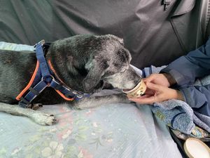 Peanut butter ice cream. at The Queen Inn in Cwmbran