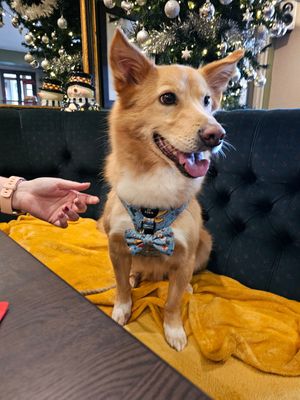  at The Queen Inn in Cwmbran