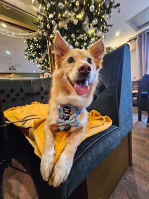  at The Queen Inn in Cwmbran