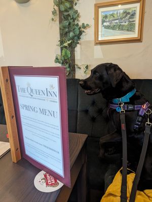 Lots of options at The Queen Inn in Cwmbran