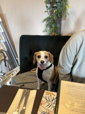   at The Queen Inn in Cwmbran