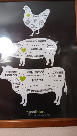  at The Queen Inn in Cwmbran