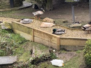   at The Queen Inn in Cwmbran