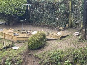   at The Queen Inn in Cwmbran