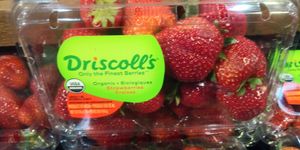  at New Seasons Market - Concordia in Portland