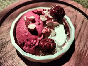 Amazing vegan ice creams at San Lucas Treetop Dining Experience in Monteverde