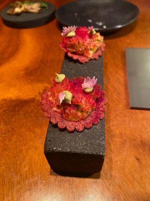  at San Lucas Treetop Dining Experience in Monteverde