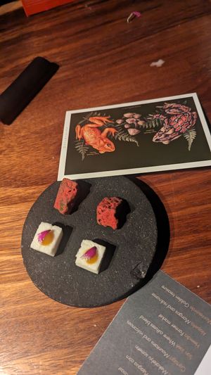 Course 9 - Monteverde at San Lucas Treetop Dining Experience in Monteverde