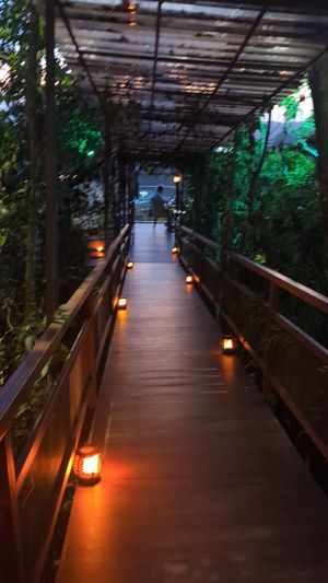 Beautiful ambience at San Lucas Treetop Dining Experience in Monteverde