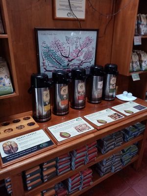 Coffee samples at Café Monteverde Coffee Shop in Monteverde