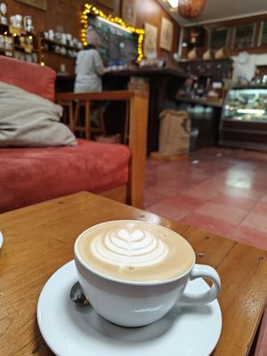 Oat Latte at Café Monteverde Coffee Shop in Monteverde