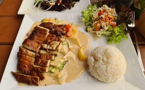 615 duck with red curry sauce at Zlatý Drak in Plzen