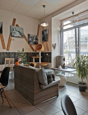  at Plzeňská Kočičí Kavárna in Plzen