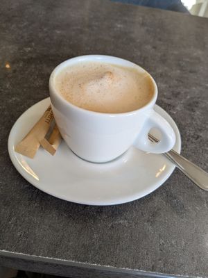  at Plzeňská Kočičí Kavárna in Plzen