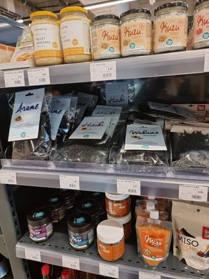 sea weeds at Biovita in Oostende