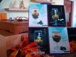  at Yeah in The Hague