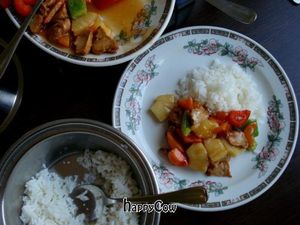  at Yeah in The Hague