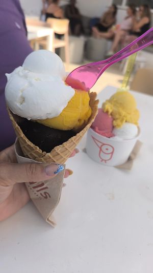  at Valls in Mallorca