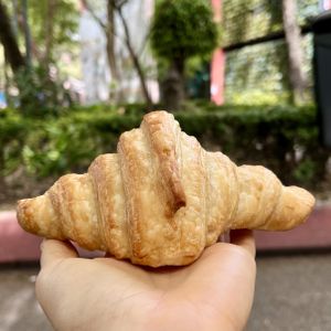 croissant   at Miga Vegana in Mexico City