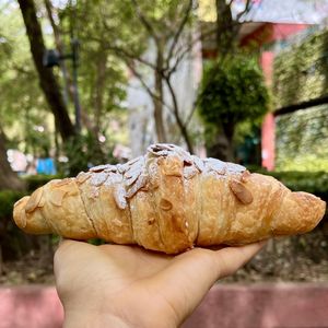 almond croissant   at Miga Vegana in Mexico City