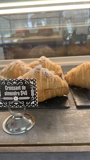   at Miga Vegana in Mexico City