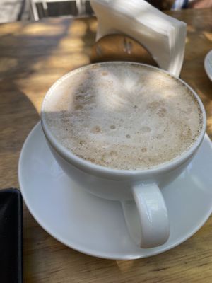 Capuchins  at Miga Vegana in Mexico City