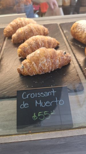  at Miga Vegana in Mexico City