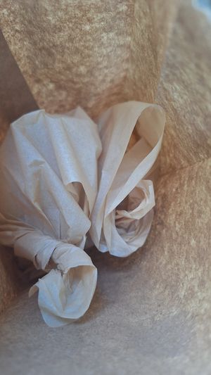 ¡Pedí pizza rolls! Como salieron pequeños, me dieron dos al precio de uno 🍕😋👌🏻 at Miga Vegana in Mexico City