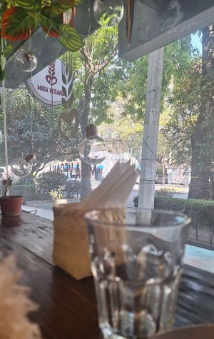  at Miga Vegana in Mexico City