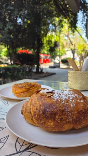 Great pizza rolls and chocolatines! at Miga Vegana in Mexico City