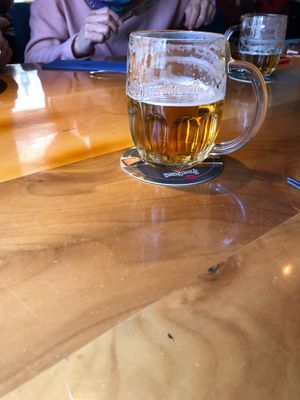 draft Pilsner beer at Homy Fusion in Plzen