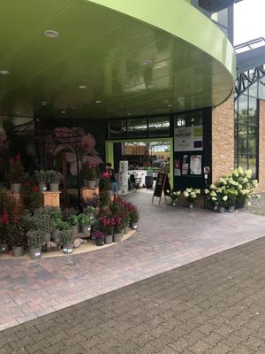 entrance to shop & café ~ a walk thru the plants at Café Florina in Hirschthal
