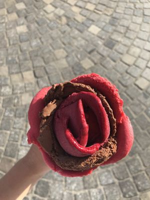 Chocolate Sorbet😄 at Amorino in Sanary-sur-mer