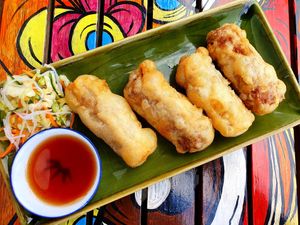 vegan spring rolls (A13b) at Rote Laterne in Dusseldorf