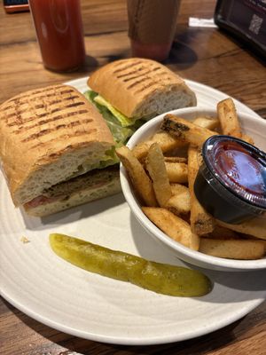   at Pressed Cafe in Boston