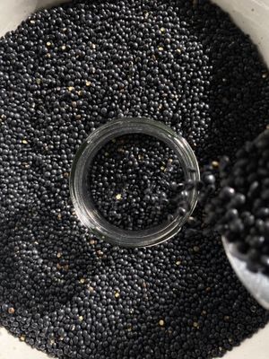 Lenteja Caviar. Legumbres de primera categoría   at li.V.re in Torrelodones