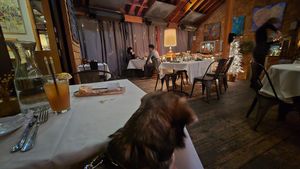 My dog was allowed at Cafe Aroma in Idyllwild